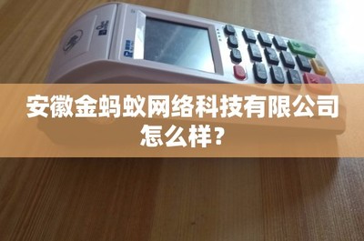 安徽金蚂蚁网络科技在纺织品领域的发展与评价